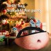 KETEP Dad Beer Belly Funny Bag Gag Gifts Funny Gifts White Elephant Gift 2021 New Upgraded 3D Men Beer Belly Waist Packs for Christmas Gifts Xmas Birthday Party Halloween - B2V3JWP3X
