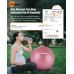 GalSports Pregnancy Birthing Ball Yoga Exercise Birth Ball Chair for Delivery & Training & Fitness Extra Thick Labor Ball with Quick Pump Pregnancy Must Haves Certified by SGS - B7TA2NSM2