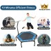 leikefitness Professional Gym Workout 50 Fitness Trampoline Cardio Trainer Exercise Rebounder with Adjustable Handle Bar Max Load 330lbs5650SH-Blue - BVOBN61VF