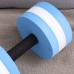 Wakauto Sports Aquatic Exercise Dumbbells Set Fitness Barbells Exercise Hand Bars for Weight Loss Water Sports Fitness Tool Blue - B69C0Z4ER