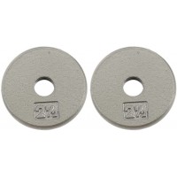 Ader Standard 1" Hole Cast Iron Weight Plate Pair- 2.5LB Gray - BNX4686SC