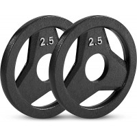 JFIT Cast Iron Olympic 2-Inch Grip Plate for Barbell Set of 2 Plates 2.5 LB - BFKK6M1GC
