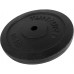 TUNTURI Unisex's Cast Iron Weight Plates Black 1.25kg Pair 1.25 kg - BJIZ9CP0S