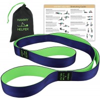 Yoga Strap for Stretching Lower Back Pain Relief Stretching Poster & Travel Bag | Tough Non-Elastic Nylon Stretching Strap with Loops all Neoprene Padded | 2 in 1 Doubles as a Yoga Mat Carry Strap - BLPXGXIRM