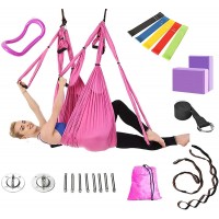 Amrta Yoga Swing with Mounting kit Yoga Hammock Sling Inversion Tool for Gym Home Indoor Fitness with Ceiling Mounting Kit Adjustable Handles Extension Straps Yoga Swing Training Set Rose - BP7S9JBAB